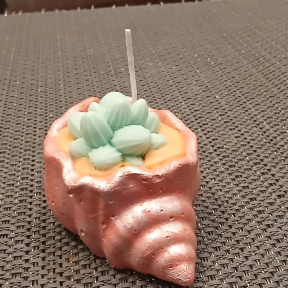 Frosted Peach Concrete Seashell Candle
